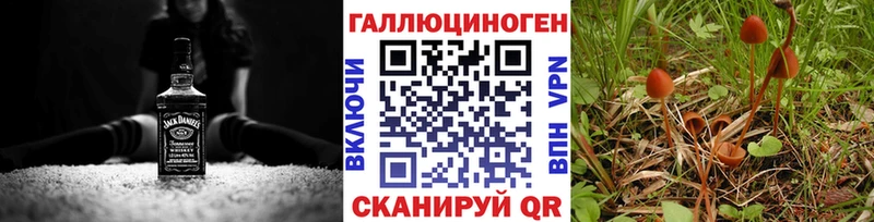 Купить  Нюрба  Псилоцибиновые грибы мухоморы 